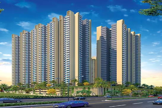 VTP Realty